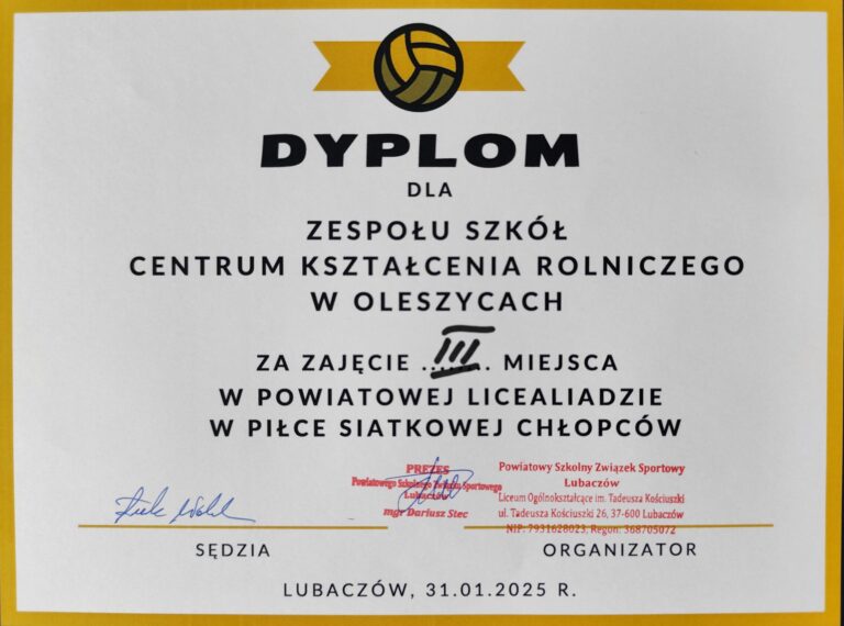 Mistrzostwa Powiatu w&nbsp;Piłce Siatkowej Chłopców